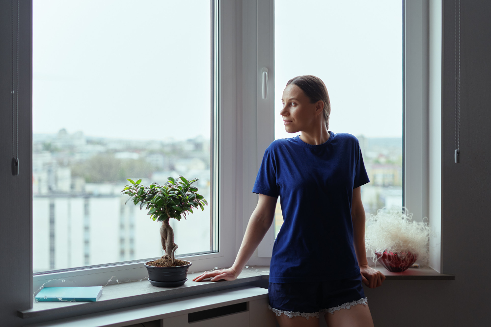 Auburn Hills Window Styles